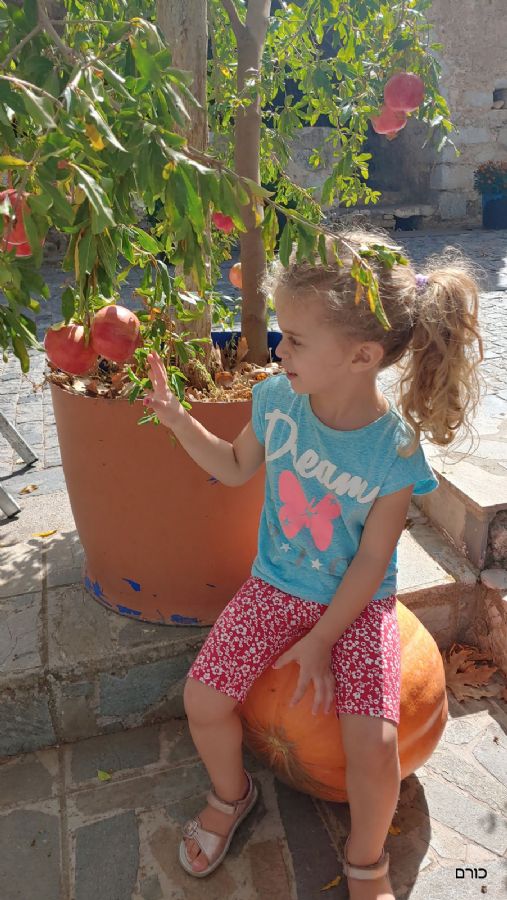 קראצי